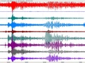 Zapis wstrząsu o magnitudzie 8,2 w Chile, do którego doszło o 1:46 
według czasu obowiązującego w Polsce. Zapis pochodzi ze stacji Polskiej 
Szerokopasmowej Sieci Sejsmologicznej.
